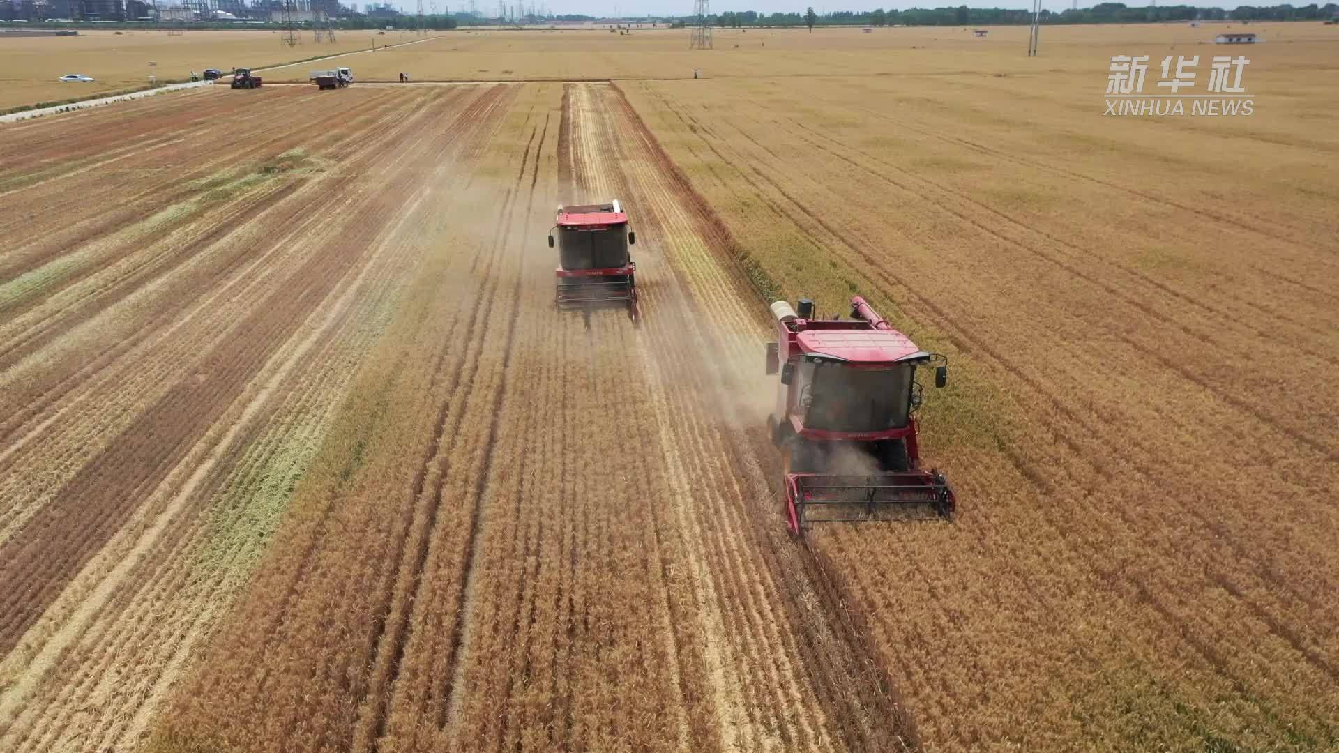 山东桓台：新式农机显身手“三夏”生产添助力