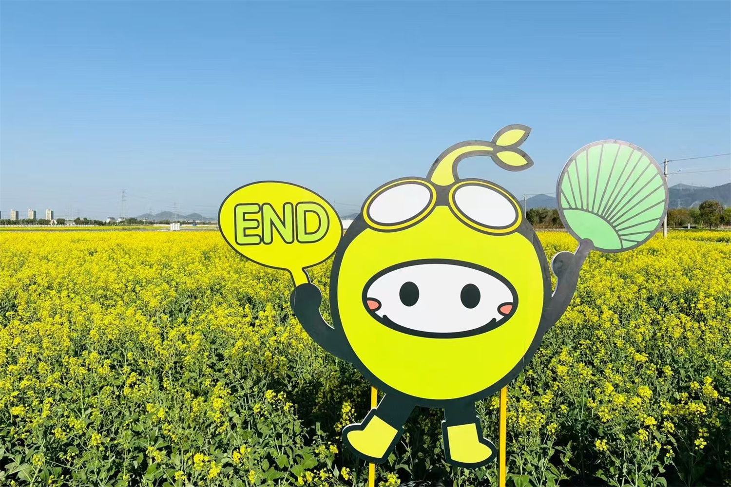 设计力量驱动地方经济！浙江万里学院“青年之光”毕业展成产业创新引擎