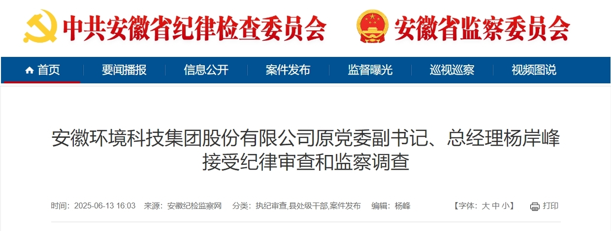 安徽环境科技集团股份有限公司原总经理杨岸峰被查