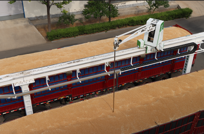 在山东玉皇粮油食品有限公司，小麦自动扦样机对新收购来的小麦进行抽样检验。