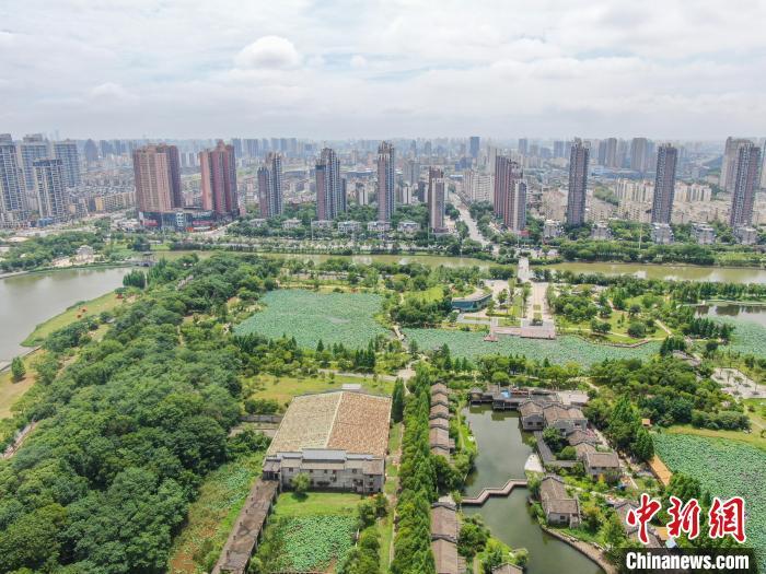 6月12日，江西南昌，航拍位于城市之中的象湖湿地公园绿意盎然，夏荷渐开，远处的高楼建筑与湿地公园交相辉映，风景秀美。(无人机照片)中新社记者 刘力鑫 摄