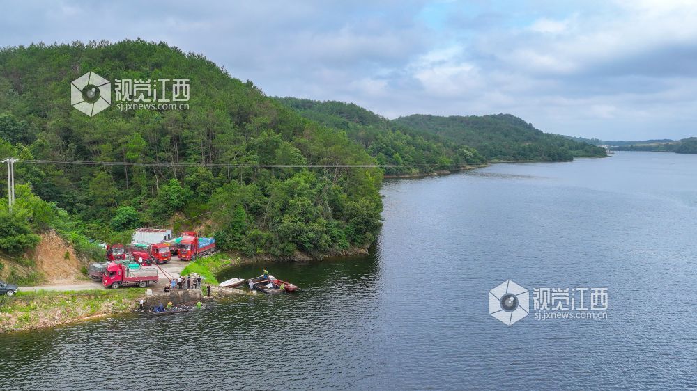 2025年6月12日，江西省吉安市吉水县阜田镇双山水库鱼跃人欢，一派丰收景象，渔民们正忙着收网起鱼。