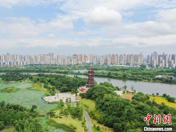 6月12日，江西南昌，航拍位于城市之中的象湖湿地公园绿意盎然，夏荷渐开，远处的高楼建筑与湿地公园交相辉映，风景秀美。(无人机照片)中新社记者 刘力鑫 摄