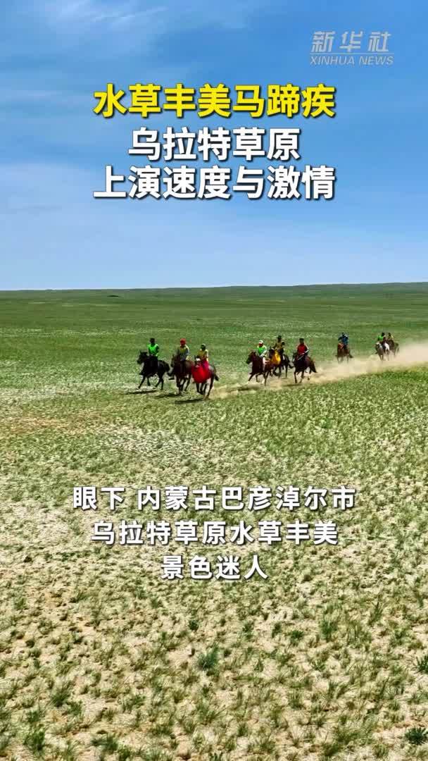 水草丰美马蹄疾 乌拉特草原上演速度与激情
