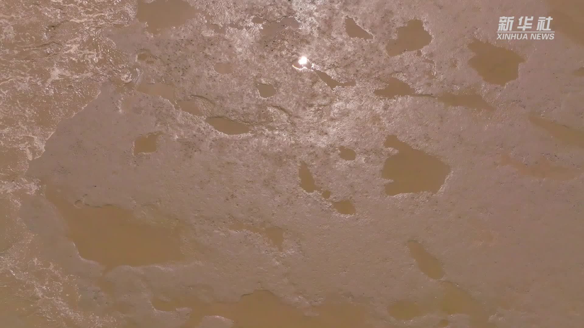 一起来看条子泥湿地里的“干饭显眼包”