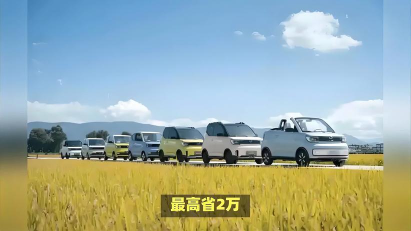最高省2万和124款任选，新能源车下乡开启购车黄金期
