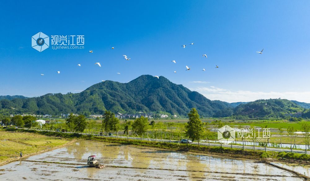 夏耕夏种正当时（图）
