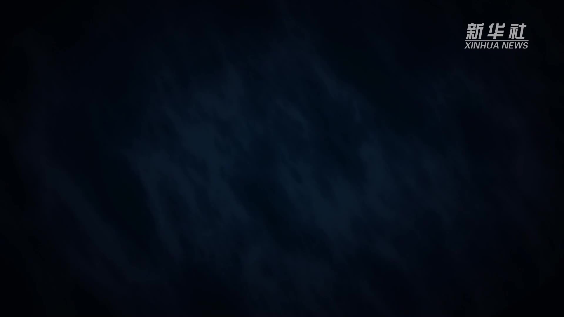 世界海洋日公益微视频：入侵