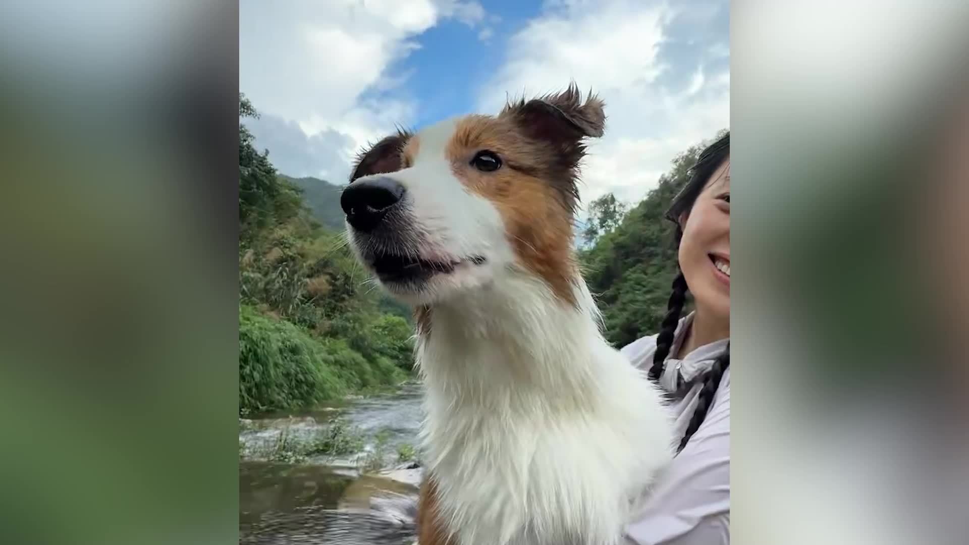 男子带狗狗玩水合力救下溺水路人：狗狗7个月大，主动游过去将其托起，救人后它很开心