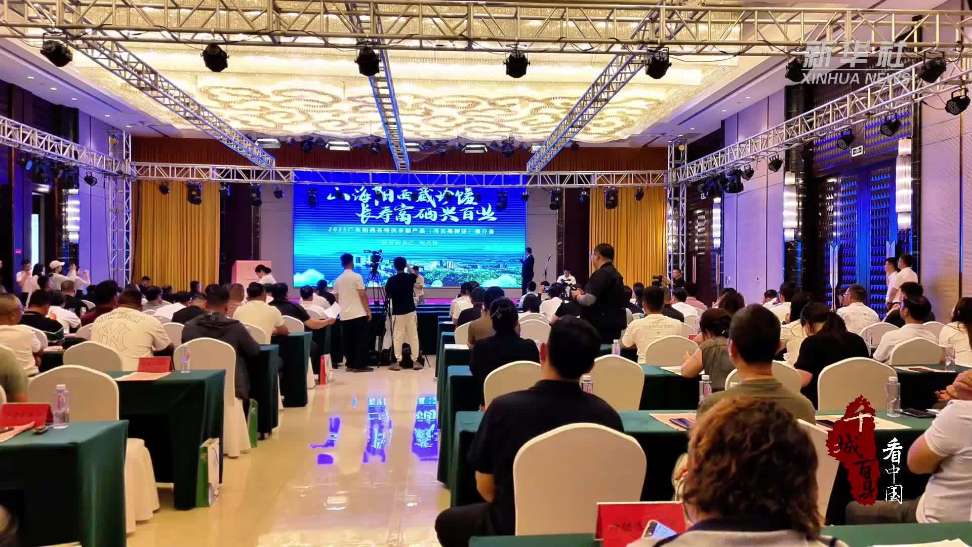 千城百县看中国｜2025广东阳西名特优农副产品(河北高碑店)推介会成功举办