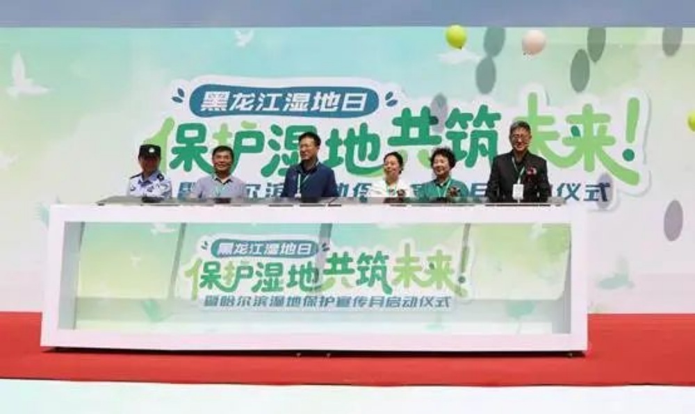 哈尔滨：十载守护湿地路 一城秀色半城景