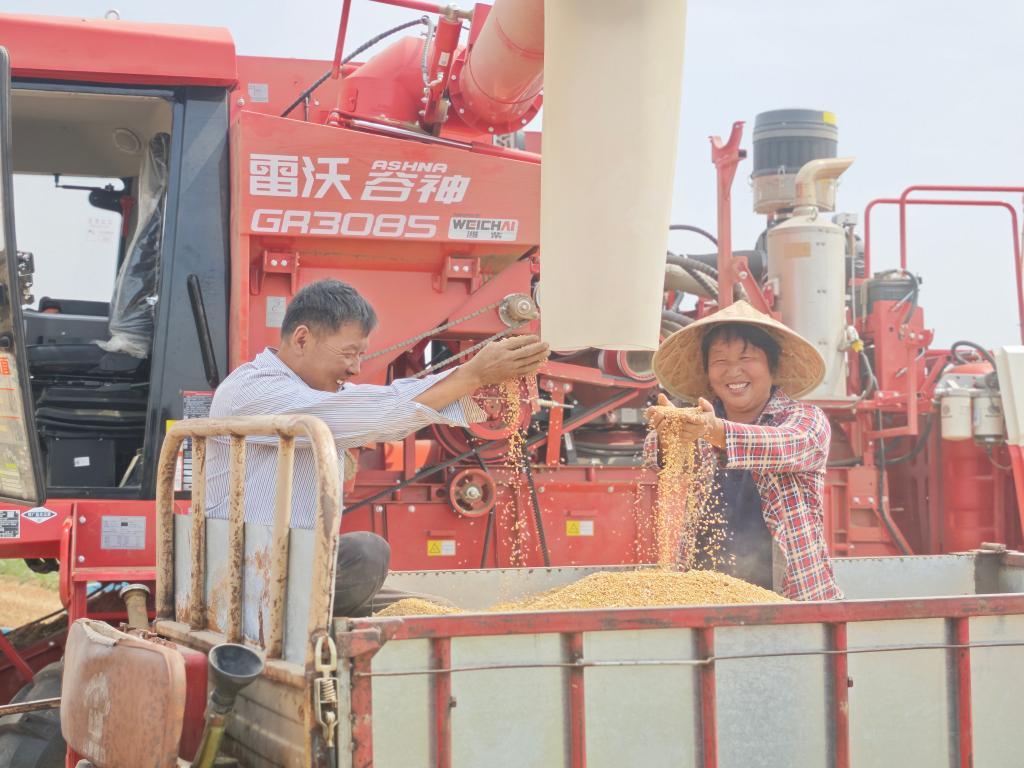在山东省菏泽市郓城县程屯镇东渠村，当地村民喜获丰收。（受访单位供图）