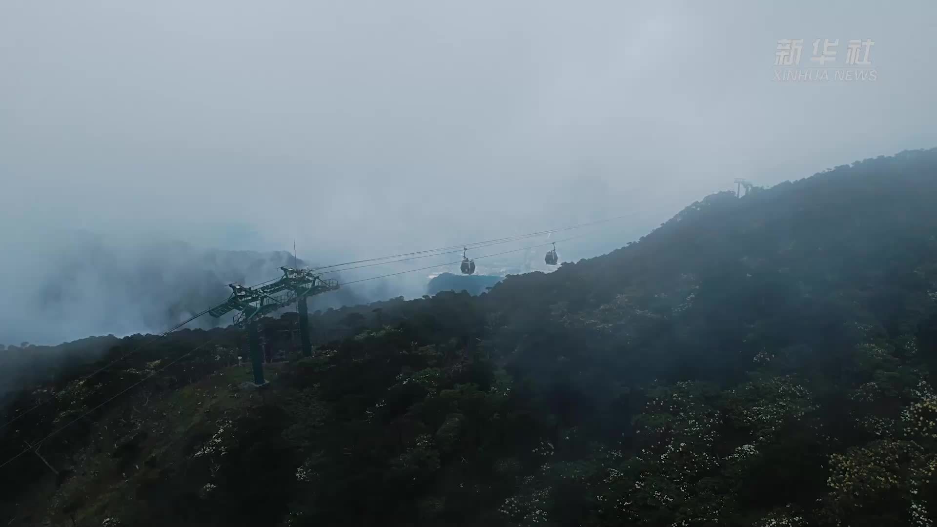 云南大理：苍山杜鹃朦胧诗境