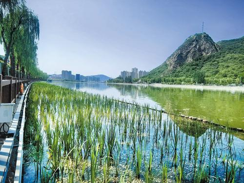 6月11日，武烈河河道内一处根孔湿地。本报记者 陈宝云摄