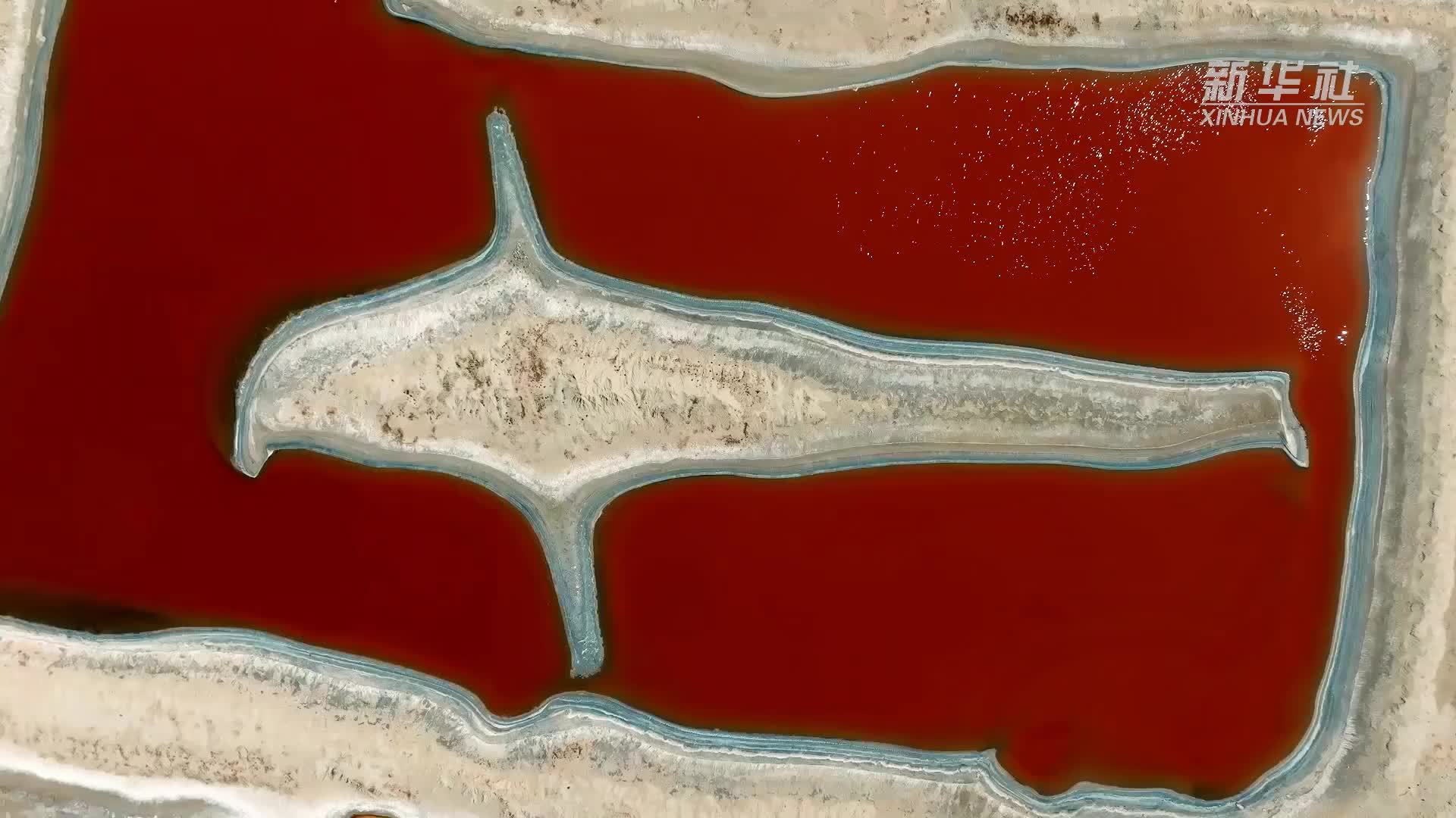 瞰中国｜乌审旗盐湖 大自然的调色盘