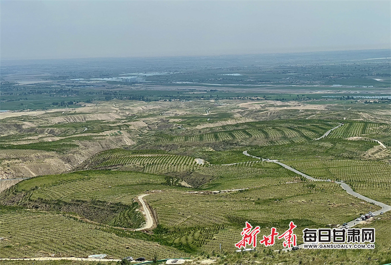 生态环保行媒体团漫步绿色廊道　解锁植绿密码