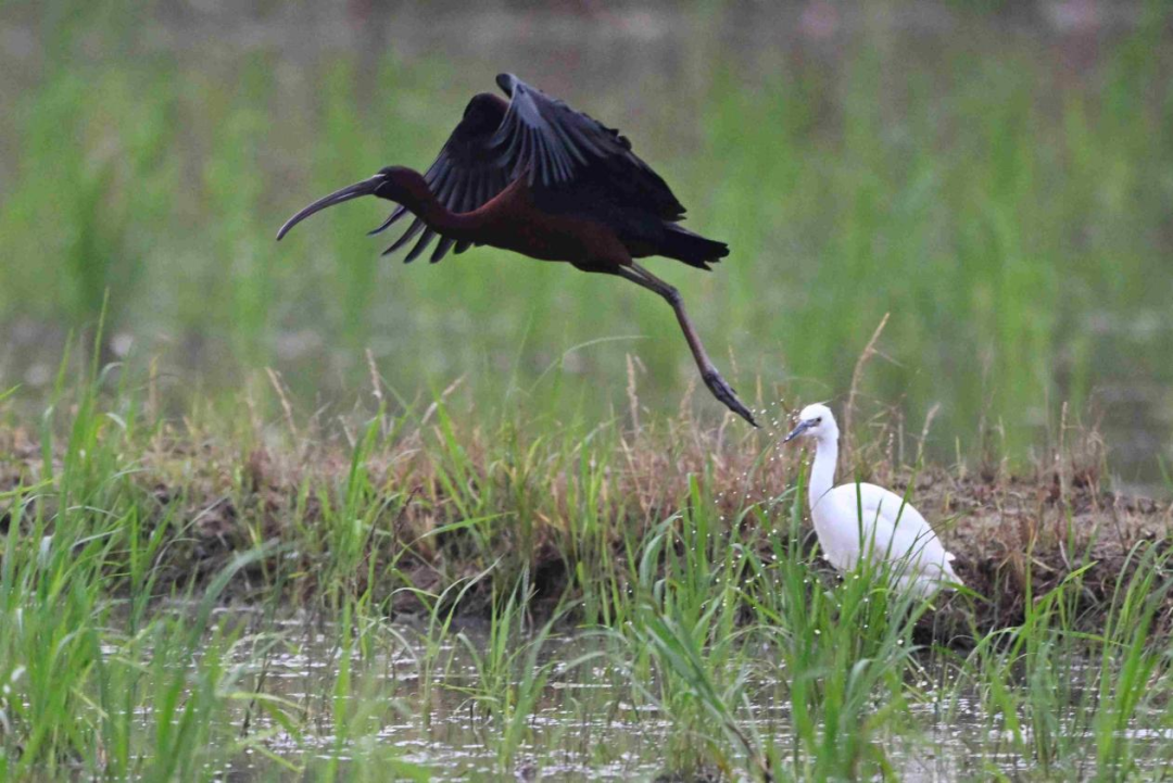 ▲ 王小龙 摄影