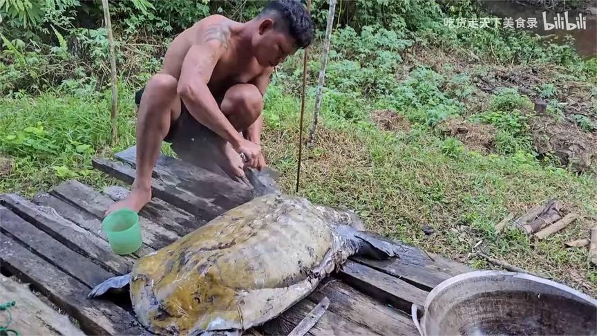90斤的野生大甲鱼，印尼人直接杀了分解做美食吃，真的是开眼界