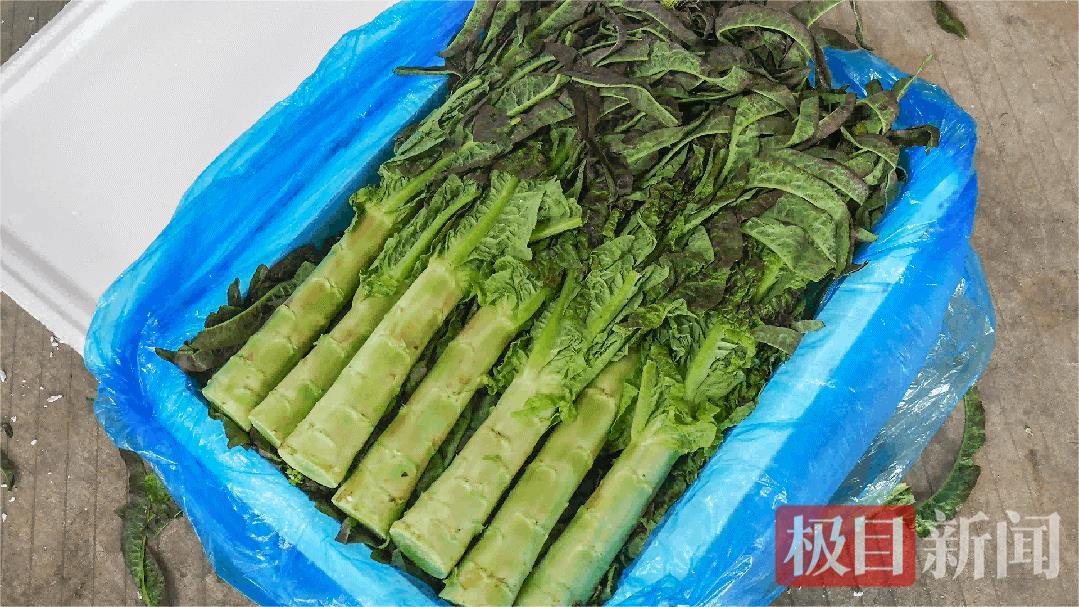 高原夏菜入荆楚
