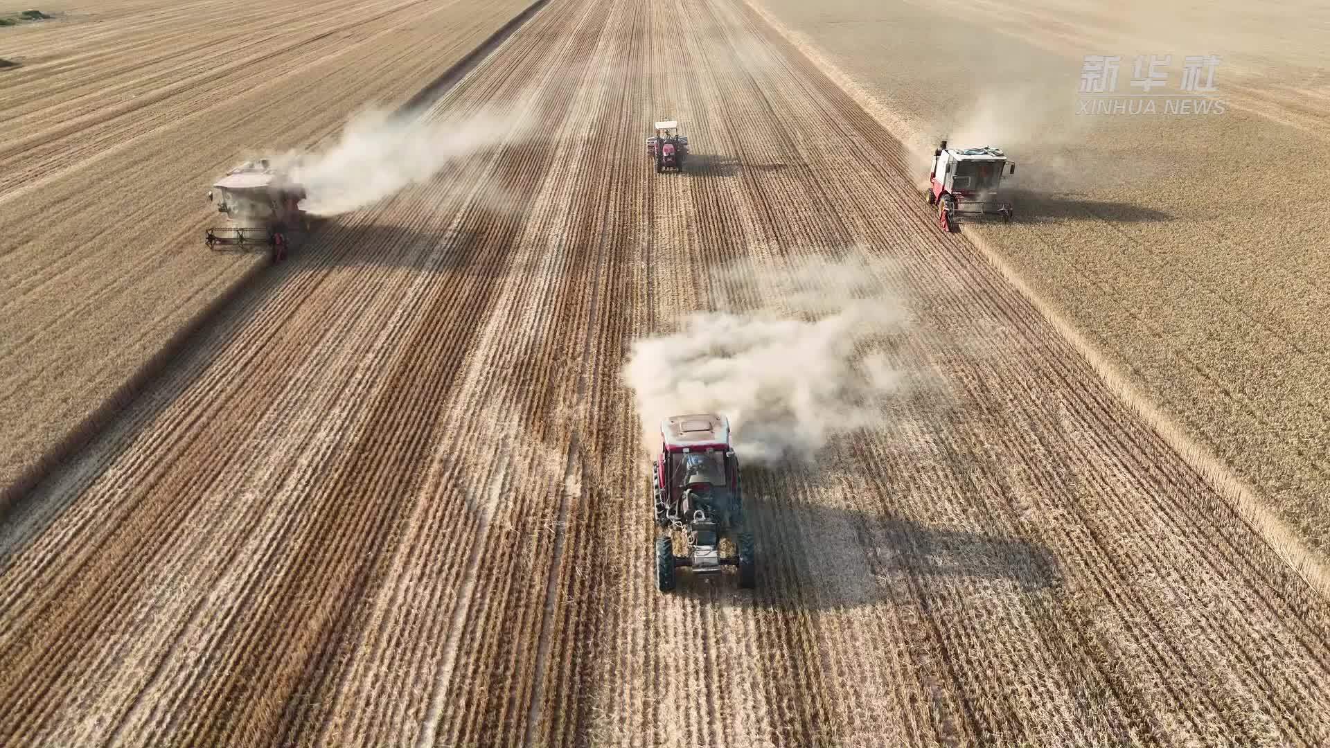 麦田里的中国智造｜“云端”上的农机 助力麦收提速提质