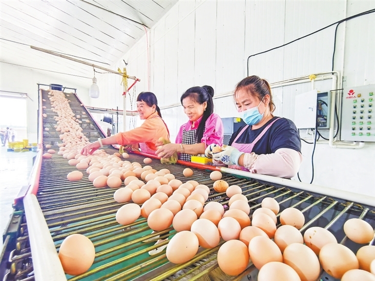 上高县：富硒鸡蛋变“金蛋”（图）