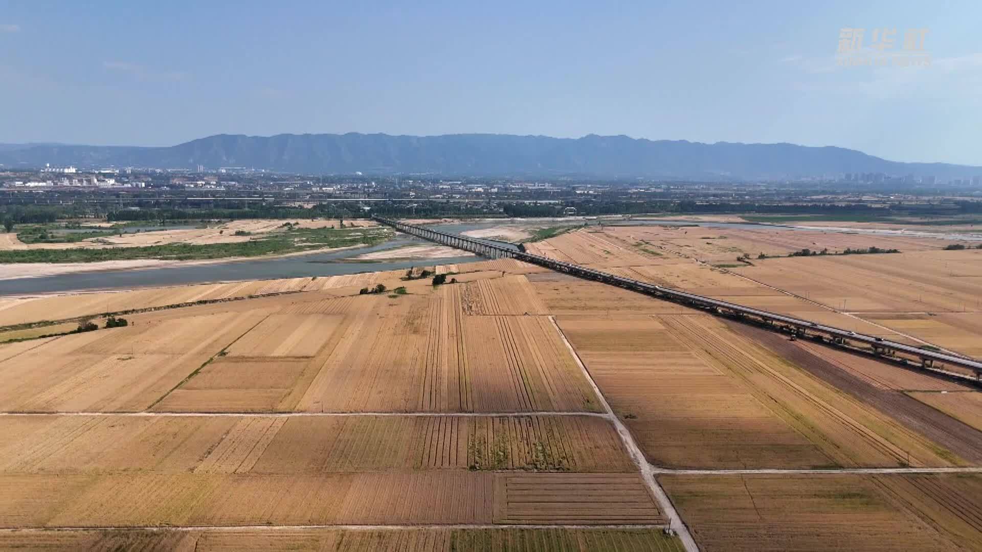 西安临潼区：田间好“丰”景 抢收抢种忙