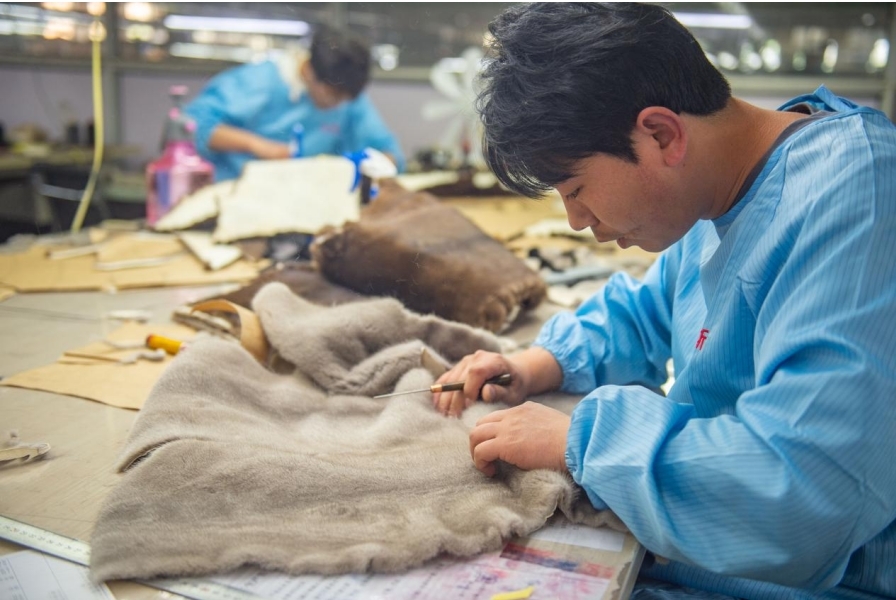 工人精工细作，确保裘皮服装质量。傅新春 摄