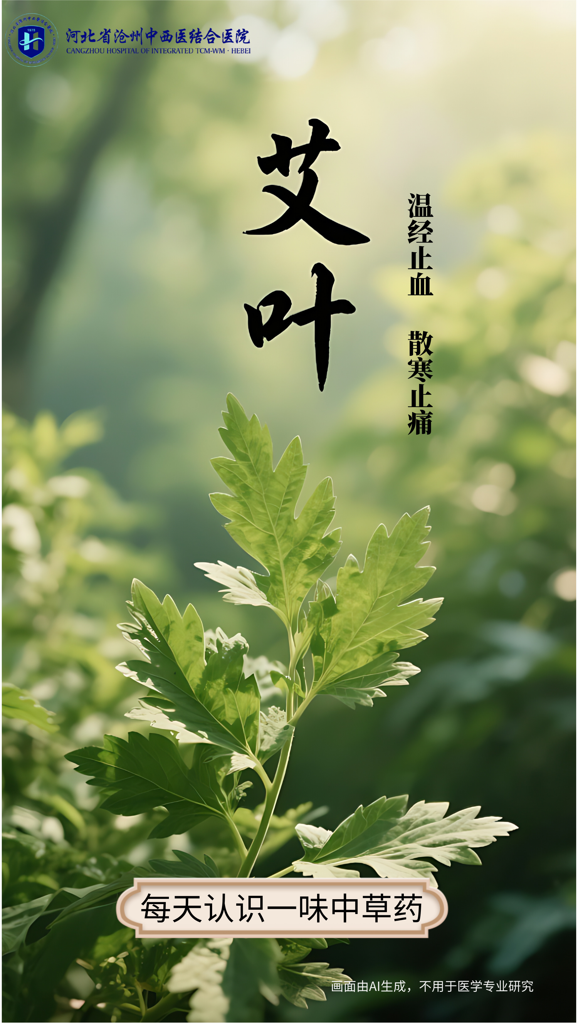 “AI”上中医药·每天认识一味中草药（21）｜艾叶