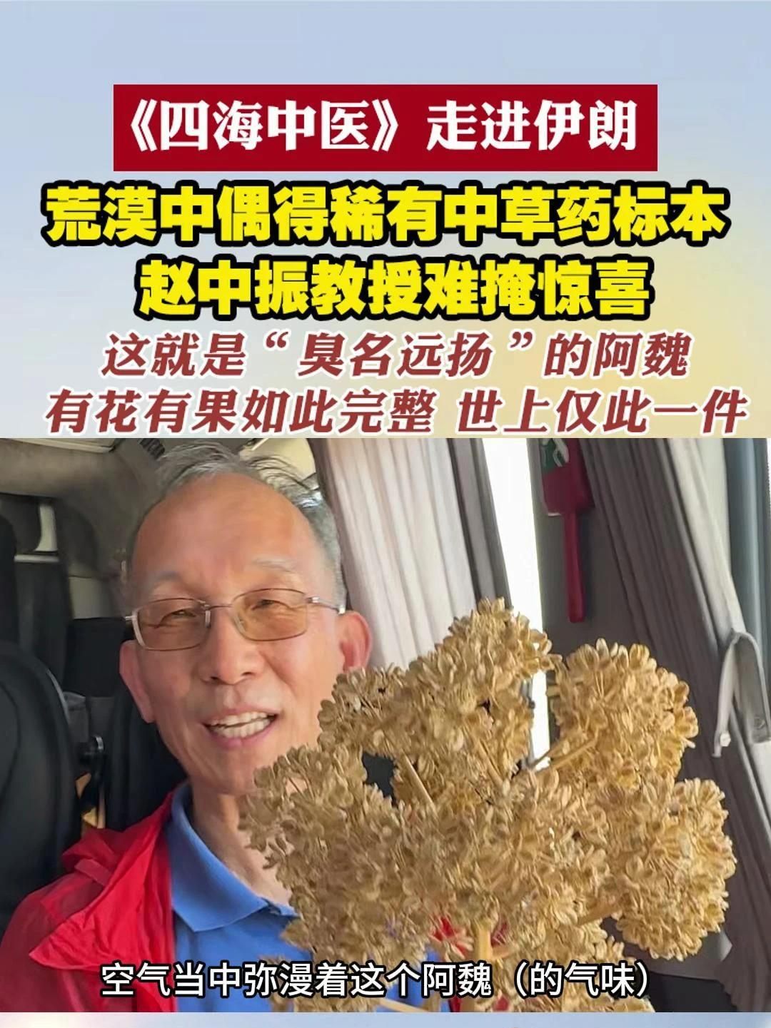 中医教授再伊朗喜得“臭名远扬”的阿魏 #四海中医走进伊朗 荒漠中偶得稀有中草药标本 赵中振教授难掩惊喜：这就是“臭名远扬”的阿魏 有花有果如此完整 世上仅此一件#四海中医