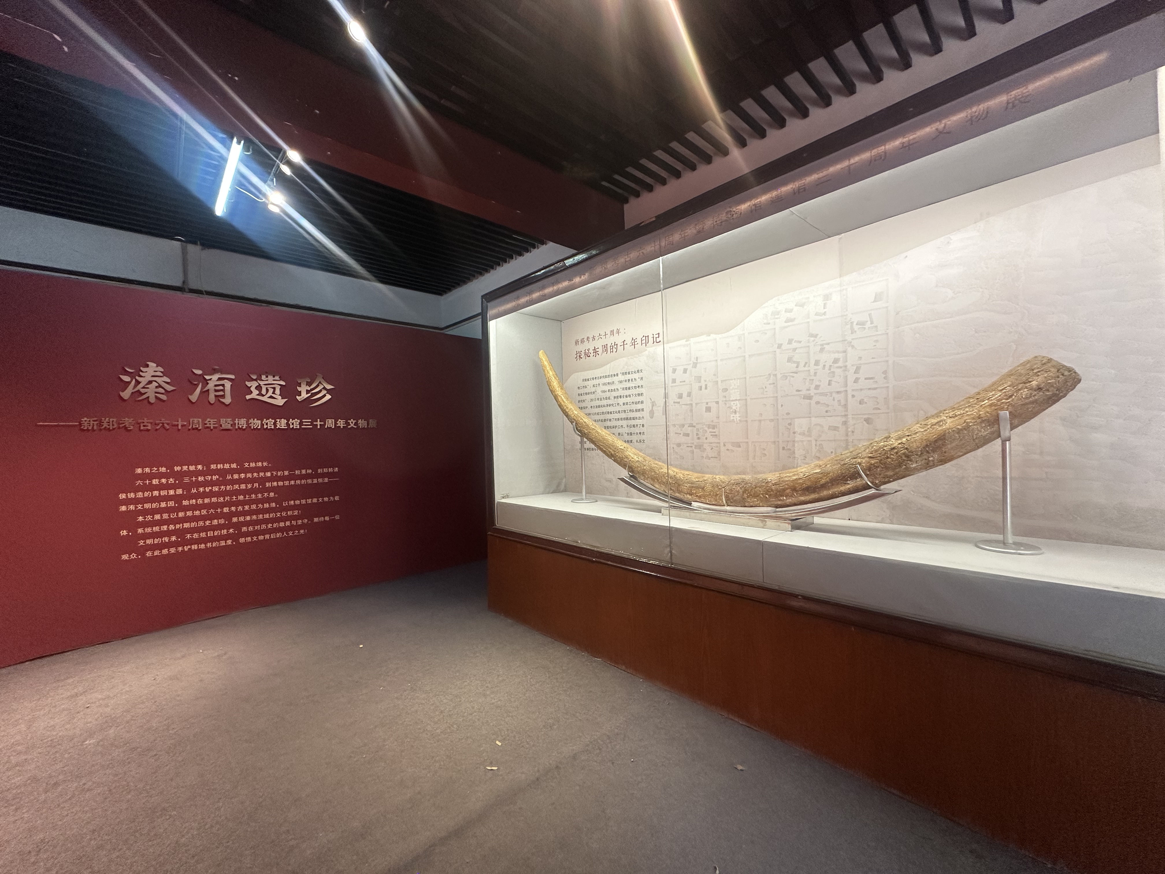 溱洧遺珍：新鄭文物考古事業(yè)再展風(fēng)華