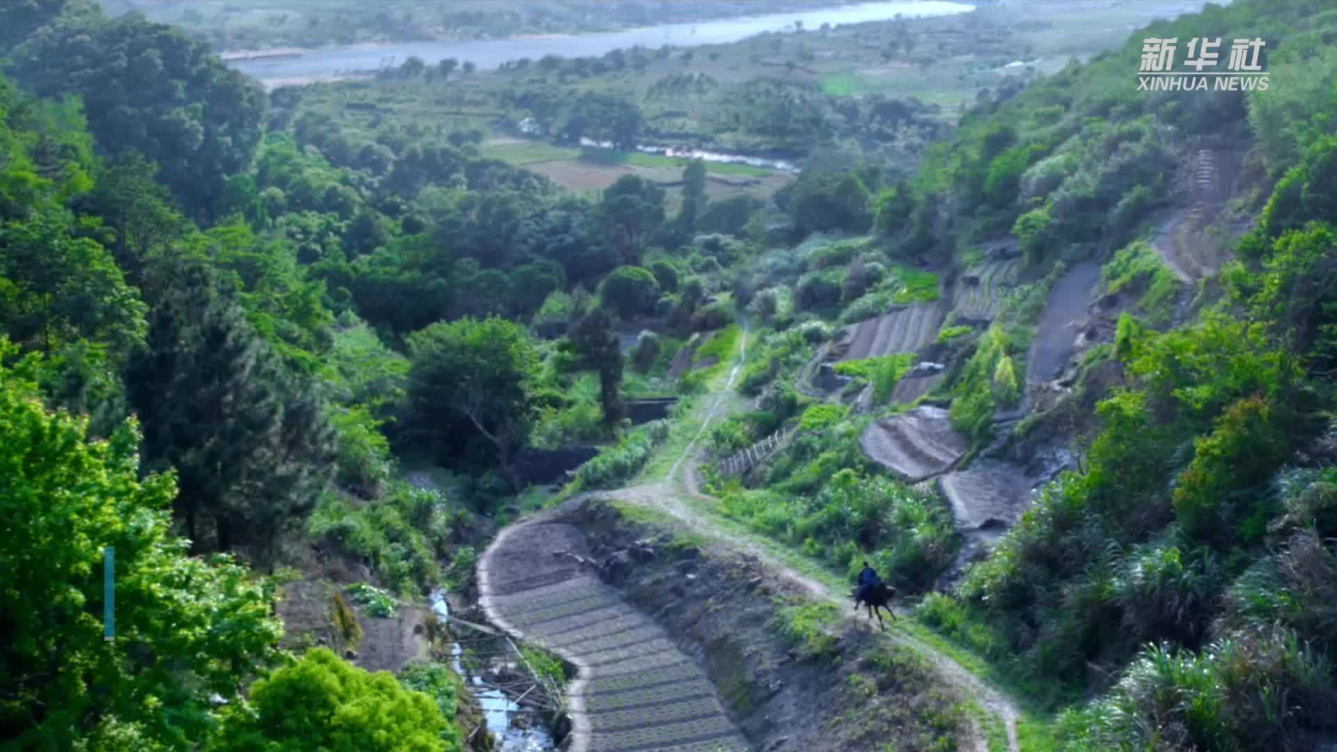 电视剧《长安的荔枝》开播：再展长安风情画卷