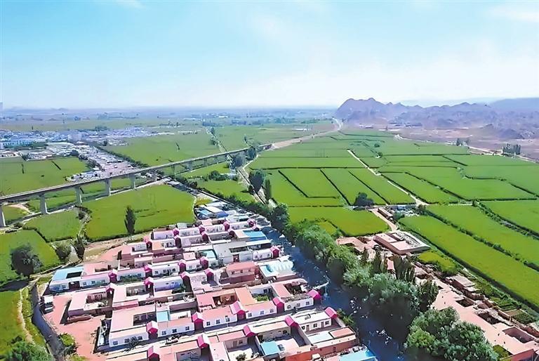 美丽的龙景村