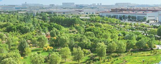 百花公园宛如镶嵌在城市里的“翡翠”