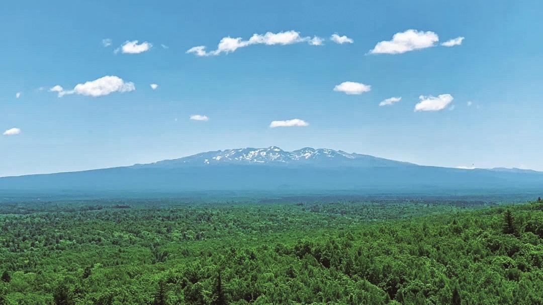 巍峨连绵的长白山，孕育了“百草之王”—人参。