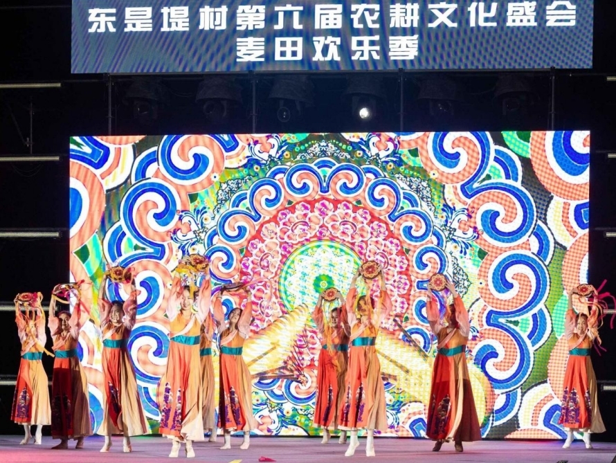 东是堤村麦田音乐会演出现场。刘文杰 摄