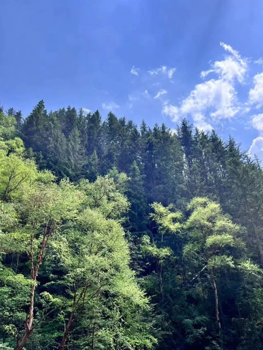 西北成毕业旅行首选　甘肃这些福利拍了拍全国中高考生