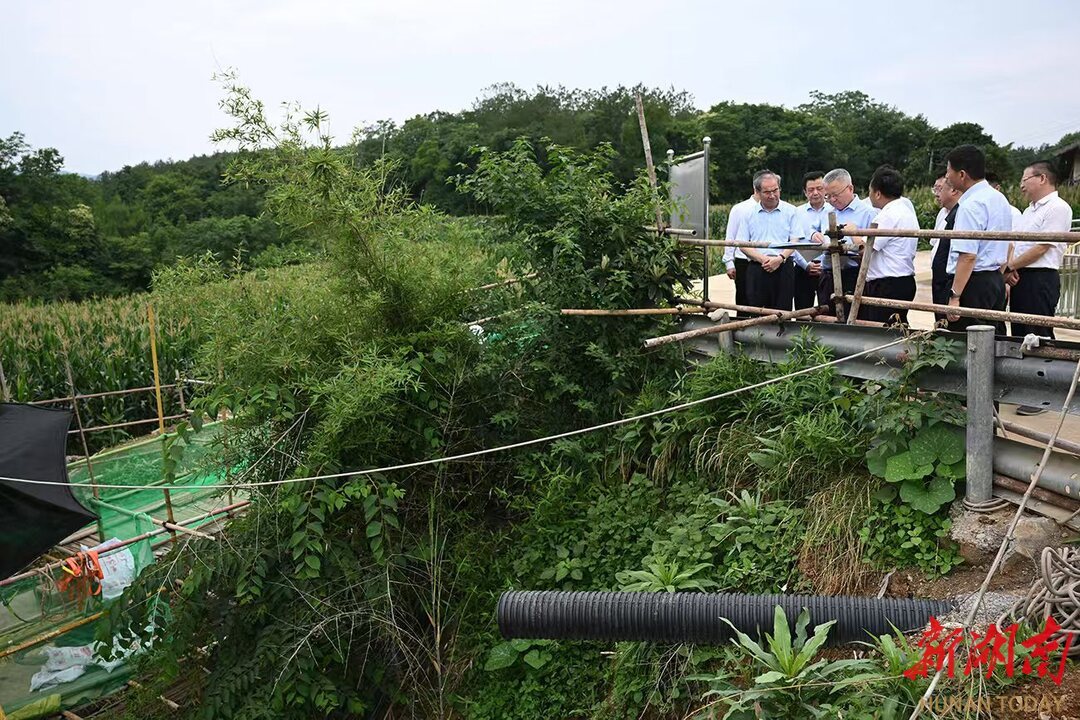 （6月9日，沈晓明在慈利县通津铺镇长峪铺村杨家坡天坑溶洞督导污染整治工作。）