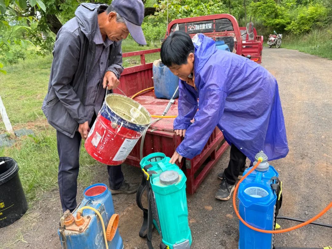 科学防控精细除草　华亭核桃园夏日“健康套餐”已送达