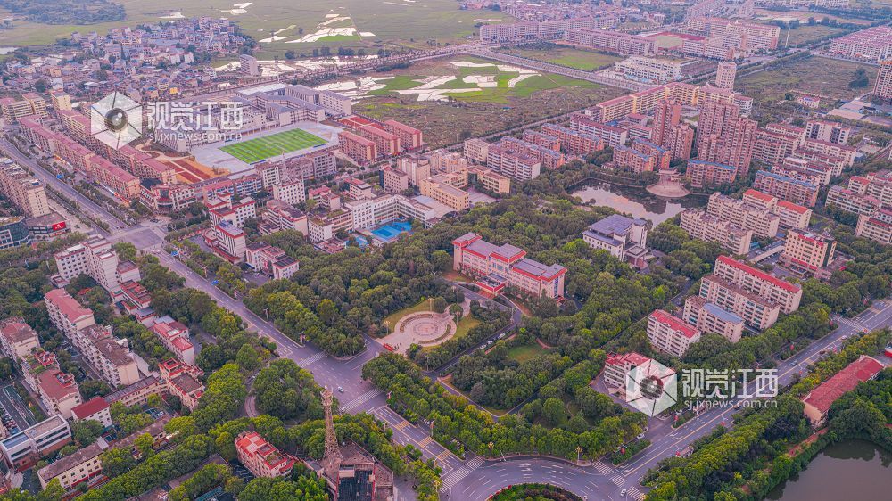 2025年6月9日在江西省吉安市峡江县锦绣湿地公园拍摄。