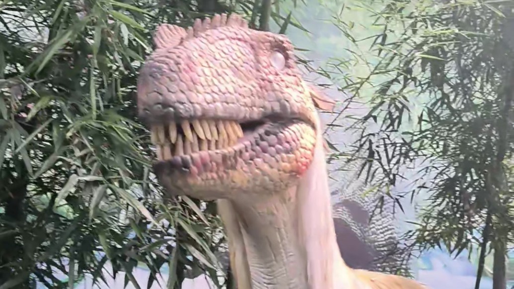 快来肃州围观“恐龙世界”　开启一段奇幻之旅