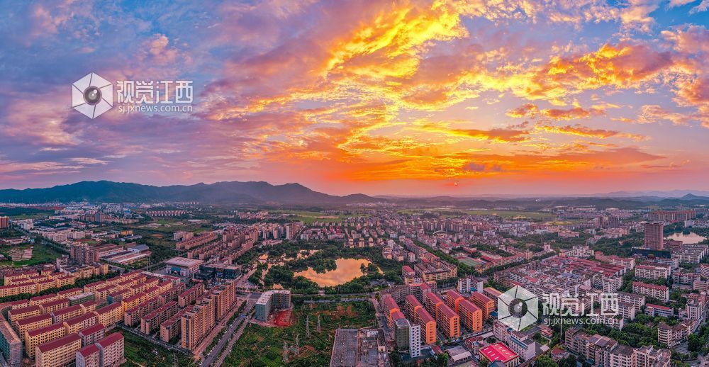 2025年6月9日在江西省吉安市峡江县锦绣湿地公园拍摄。