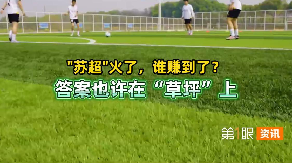 人造草龙头股直接封神，下一个被苏超带火的会是什么？