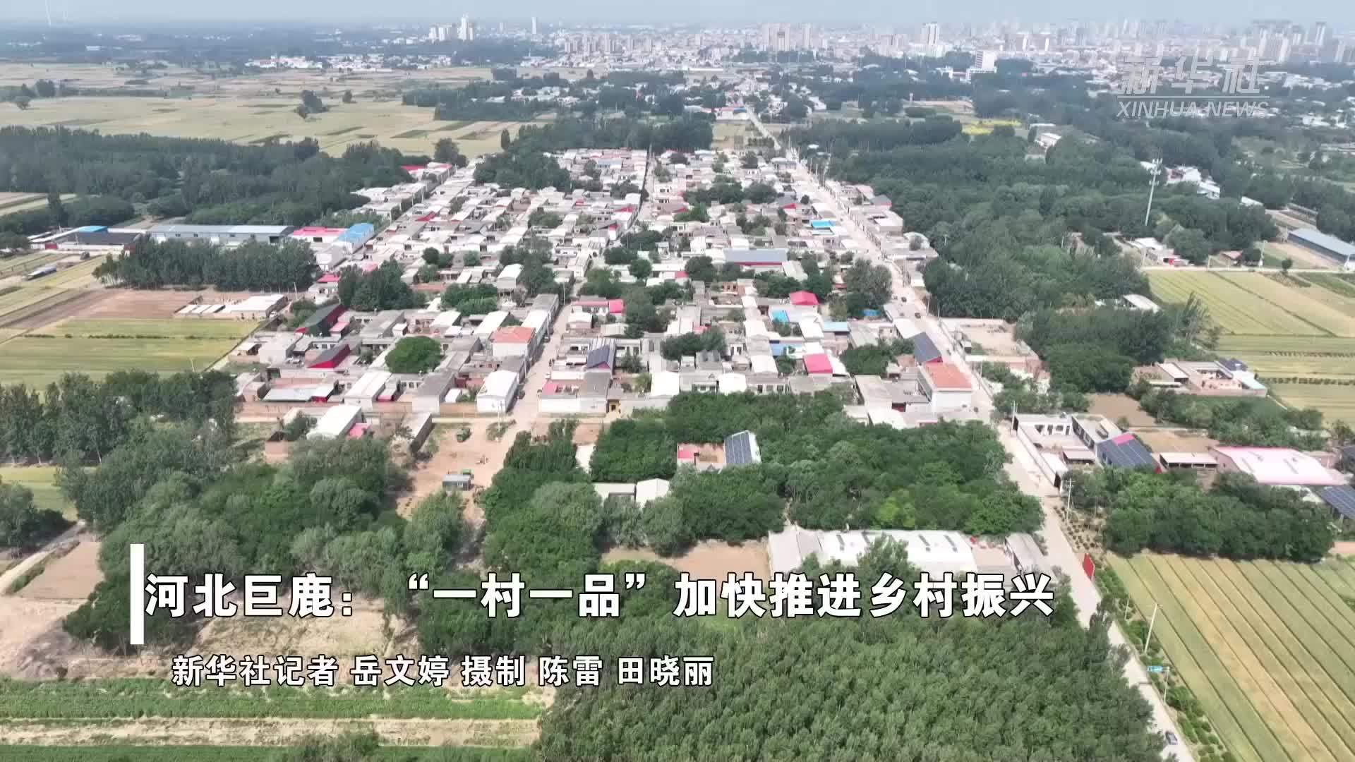 河北巨鹿：“一村一品”加快推进乡村振兴
