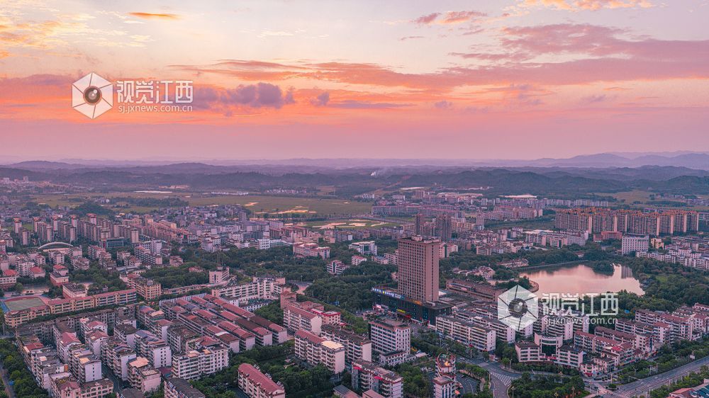 2025年6月9日在江西省吉安市峡江县锦绣湿地公园拍摄。