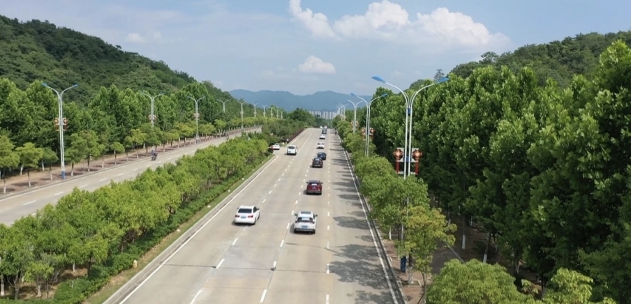 挂着绿丝带的彭泽县爱心送考车穿梭在城区大街道。