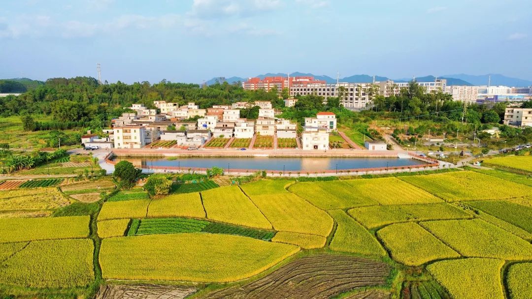 恩平市大槐镇河湾村