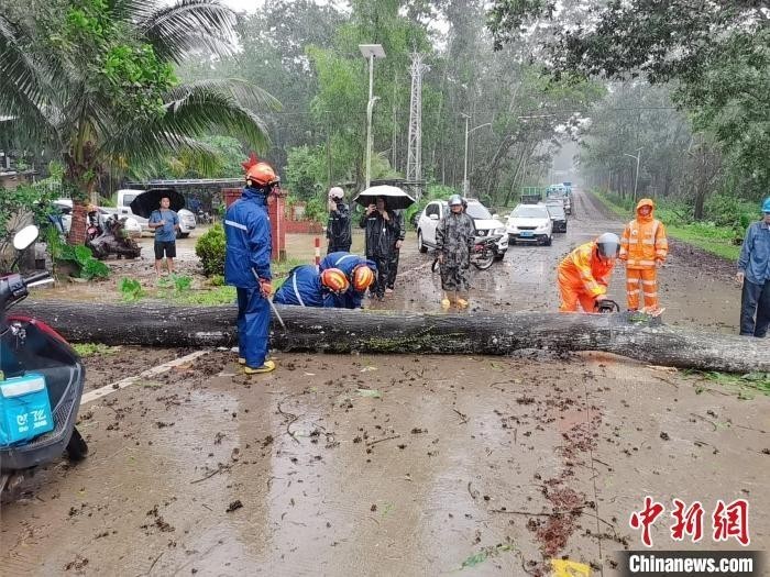 6月13日，大树倒伏于万宁市长丰镇道路中央，消防救援人员对树木进行处理。万宁市消防救援大队 供图