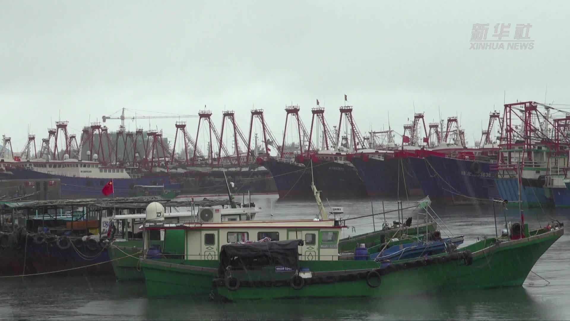 直击广西北海防御台风“蝴蝶”一线