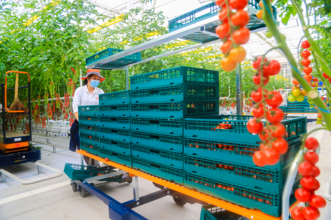 （图源：日照日报）