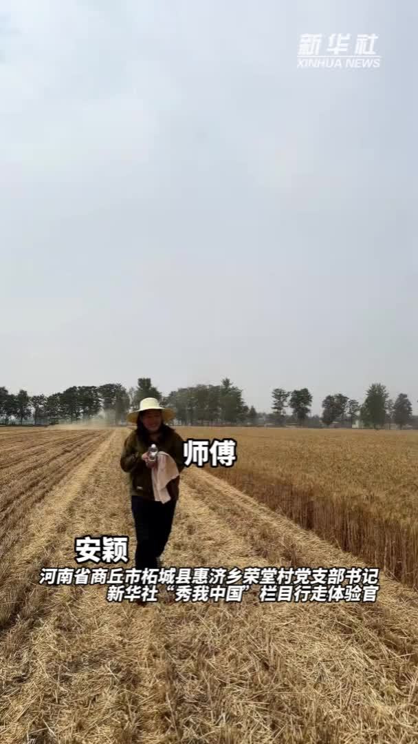 秀我中国｜新农人的“三夏”Vlog：带你沉浸式体验收麦